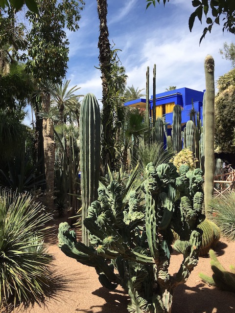 jardin majorelle